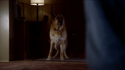 (whines) - Desperate Housewives