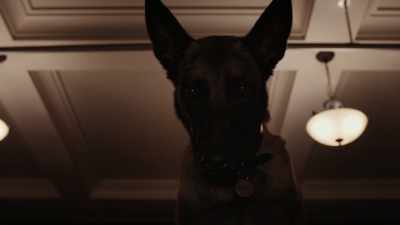 [whines] - Psych 2: Lassie Come Home