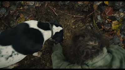 [WHINES] - The Truffle Hunters