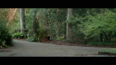 [whines] - Gerald's Game