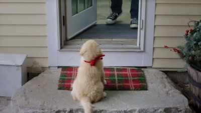 [whining continues] - Letters to Santa