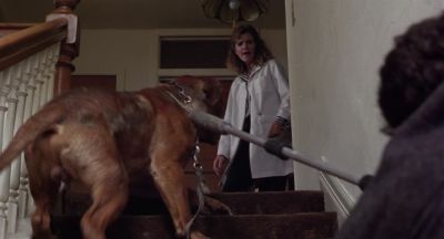 WHINING Hey what are you doing to this dog - Turner &amp; Hooch