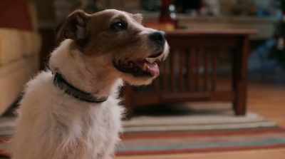 [whining] - Pups Alone
