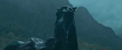 [whinnies] - Black Beauty