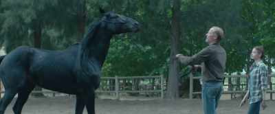 [whinnies] - Black Beauty