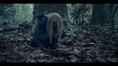 [whinnies] - The Witcher