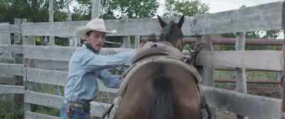 (WHINNYING) - The Rider