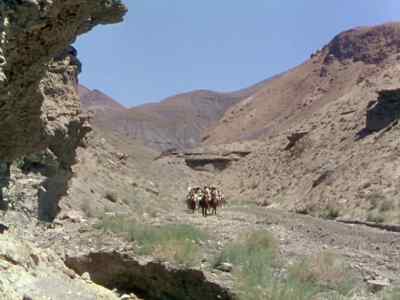 [ Whinnying ] - Destination Gobi