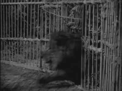 [whip cracks] - Africa Screams