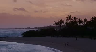 - Whipped cream or berry? - Forgetting Sarah Marshall
