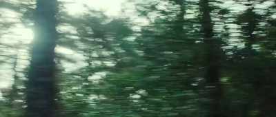 [whirring] - Wingwomen