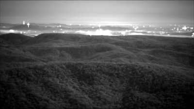 [ WHIRRING ] - Strange Evidence