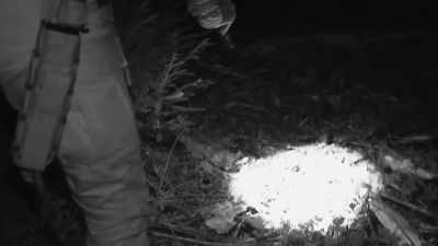 [whispering] I've done
nocturnal investigations - Expedition Bigfoot