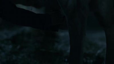 (whispering): Okay, okay, okay. - The Last Man on Earth
