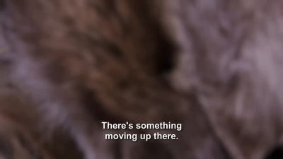 [whispering] - Naked and Afraid