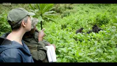 WHISPERING - Extinction: The Facts