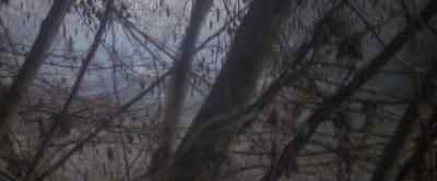 (WHISPERING) They've read signs. - Man in the Wilderness