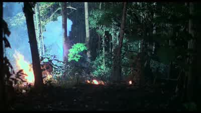 Who is it? - Platoon