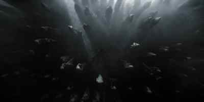 (whispers intensify) - Dune: Prophecy