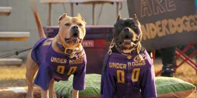 - (WHISTLE BLOWS)
- (BOTH BARK) - The Underdoggs