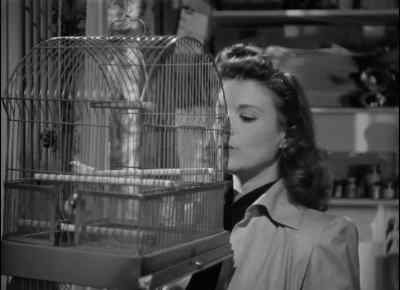 -(whistles)
-(bird squawks) - Cat People