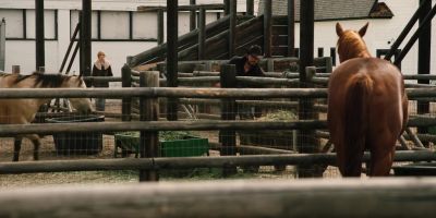 [whistles] - Yellowstone