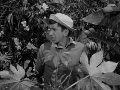 [WHISTLING] - Gilligan's Island