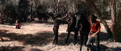 - Whit.
- Yeah? - Ride Lonesome