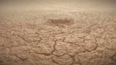 White blood cells called
neutrophils will swarm in - Human: The World Within