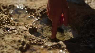 Whitney is a great scientist,
a really good naturalist. - Protecting Paradise: The Story of Niue