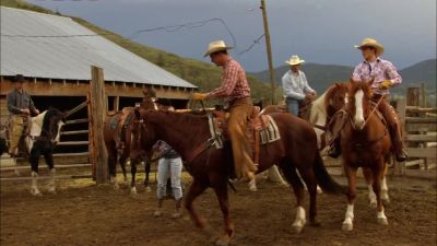 Who am I riding - Flicka 2