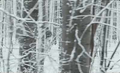 - Who am I? - Yes, and who's
side are you on? - Winter Brothers