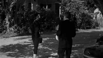 Who are you? Please, who are you? - The Rose Tattoo