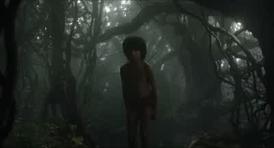Who are you? - The Jungle Book