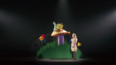 Who are you - Phoebe in Wonderland