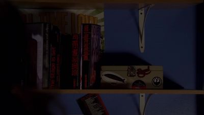 Who are you? - Ghost Whisperer