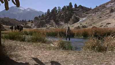 Who are you?
What do you want? - True Grit