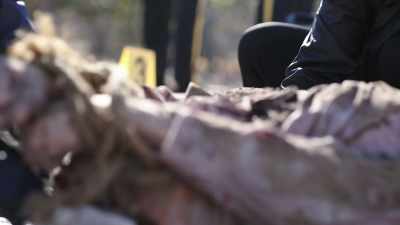 Who is Billy Sproates? - Buried In The Backyard