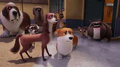 Who can be so crazy? - Me for example. - The Queen's Corgi