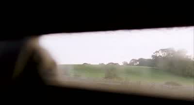 Who were chasing youMy mum my dadThey're trying to kill meThere's others tooHow manyLoads - 28 Weeks Later