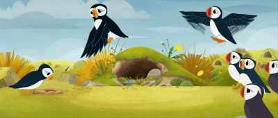 Who could have taken it?
Where could it be? - Puffin Rock and the New Friends