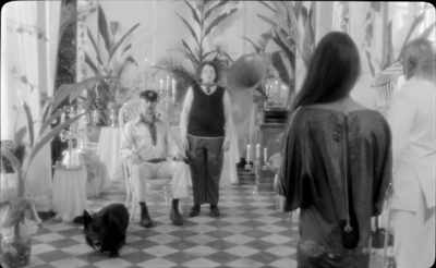 Who could have thought - The Wild Boys