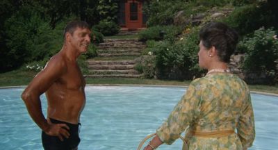 Who gave you permission to use the pool - The Swimmer
