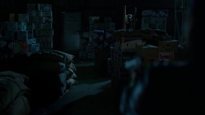 Who goes there? - Snowfall