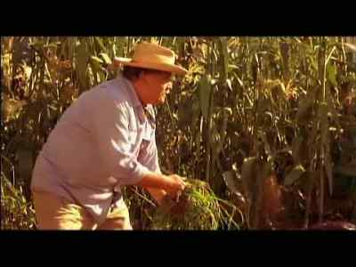 Who is he,
abuelito? - My Family