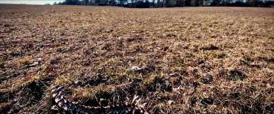 Who highly
recommended the Rohrwald area. - Razzennest