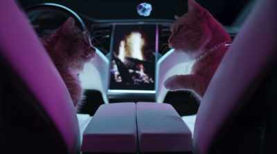 - Who hired you?
- Don't know. - Cats & Dogs 3: Paws Unite