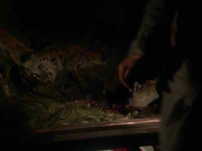 Who is in there? - Night Gallery