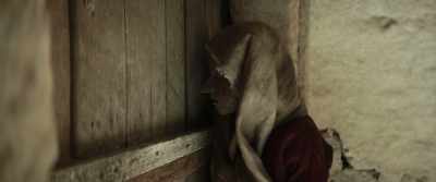 - Who is it? - It's me. open up! - Pinocchio