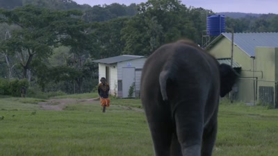 Who is it? - The Elephant Whisperers